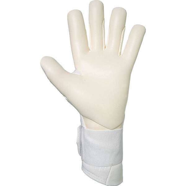 Thumbnail - REUSCH Torwarthandschuhe Raptor Pro