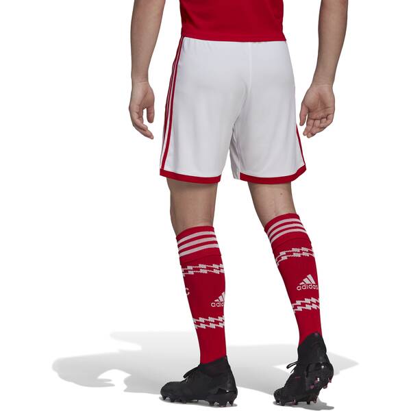 Thumbnail - ADIDAS Herren Teamhose AFC H SHO