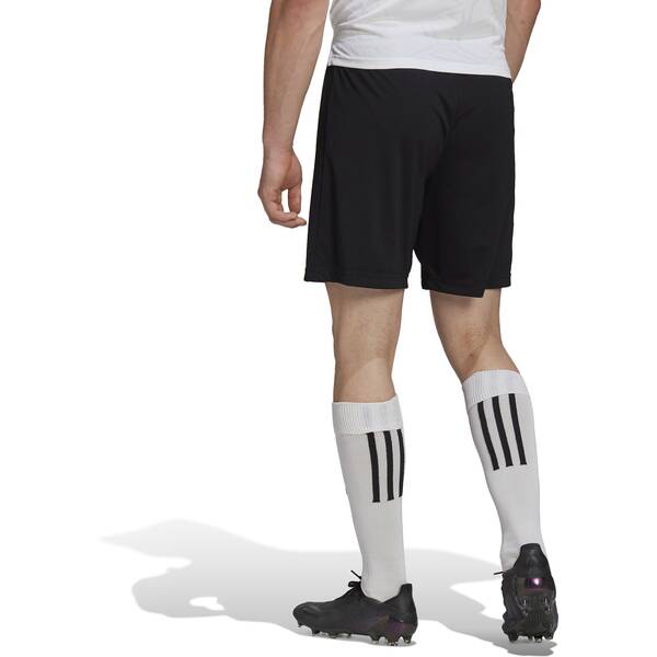 Thumbnail - ADIDAS Herren Teamhose Entrada 22 (normal & lang)