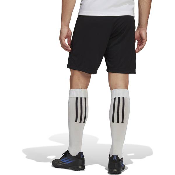 Thumbnail - ADIDAS Herren Teamhose Entrada 22 Training (normal & lang)