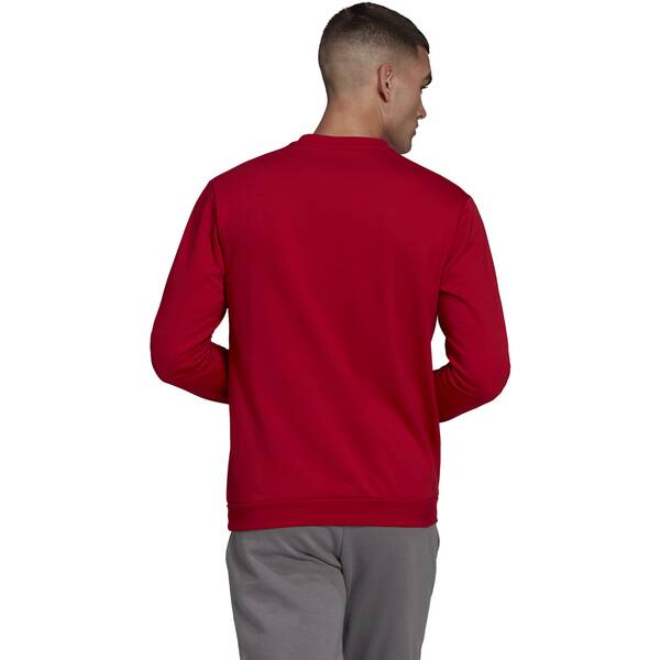 Thumbnail - ADIDAS Herren Sweatshirt Entrada 22 (normal & lang)