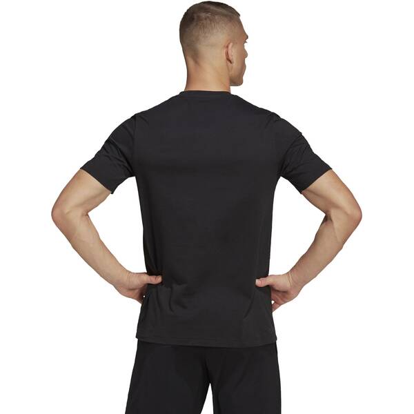 Thumbnail - ADIDAS Herren Fanshirt Entrada 22 (normal & lang)