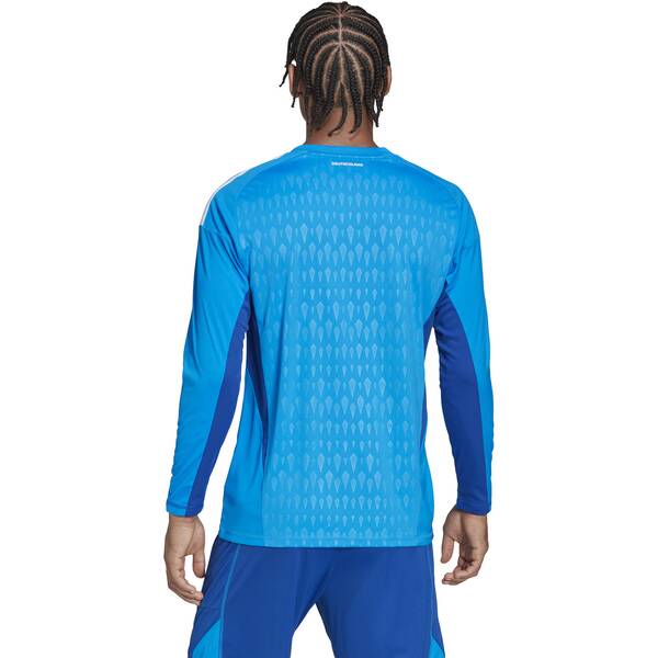 Thumbnail - ADIDAS Herren Torwarttrikot DFB GK JSY L