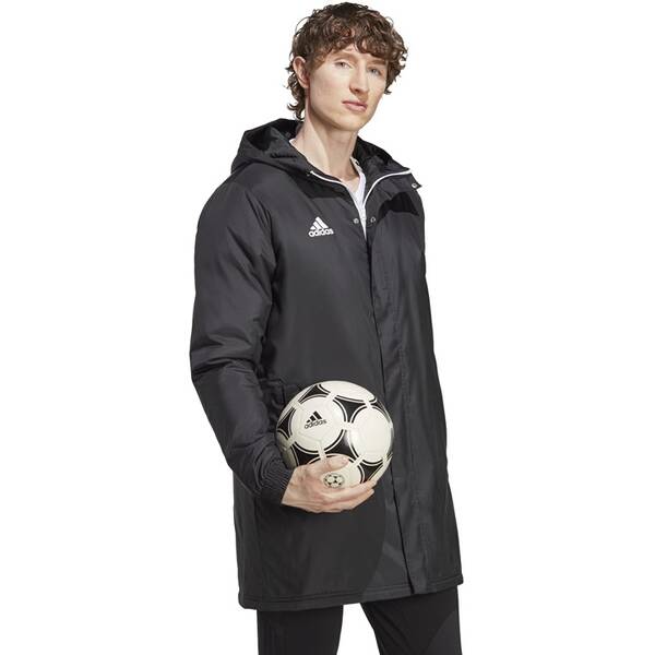 Thumbnail - ADIDAS Herren Jacke Entrada 22 Stadium (normal & lang)