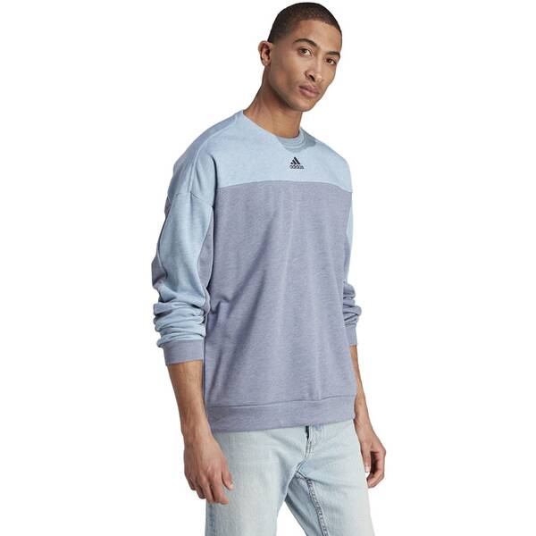Thumbnail - ADIDAS Herren Sweatshirt Mélange (normal & lang)