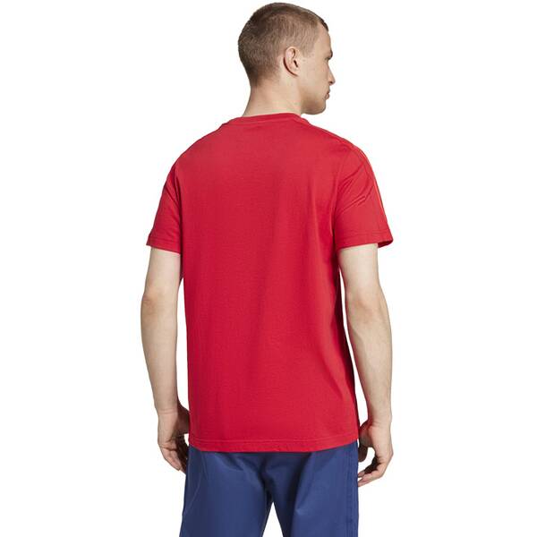 Thumbnail - ADIDAS Herren Fanshirt FC Bayern München DNA