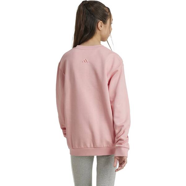 Thumbnail - ADIDAS Kinder Sweatshirt ALL SZN Graphic Kids