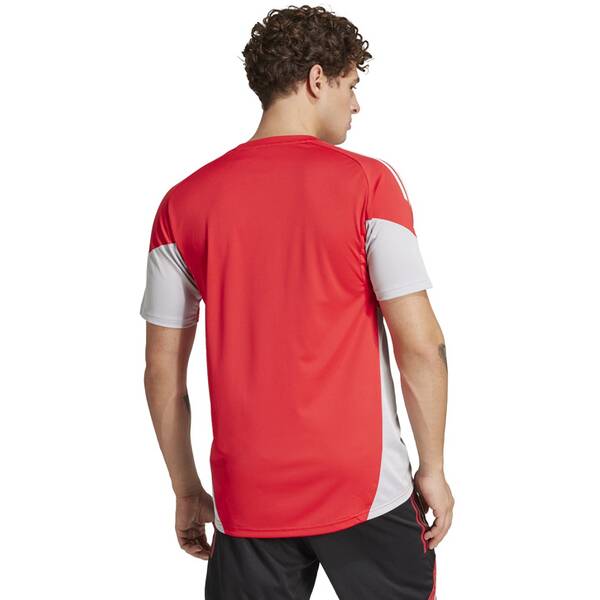 Thumbnail - ADIDAS Herren Trikot Tiro 25 Competition (normal & lang)