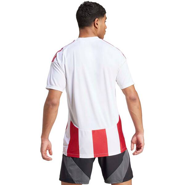 Thumbnail - ADIDAS Herren Trikot Striped 24