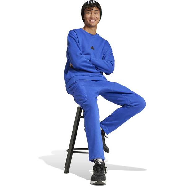 Thumbnail - ADIDAS Herren Sweatshirt City Escape Fleece