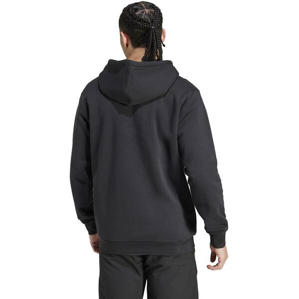 Thumbnail - ADIDAS Herren Kapuzensweat TERREX Multi Large Logo