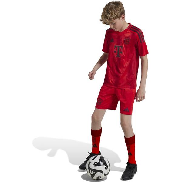 Thumbnail - ADIDAS Kinder Teamhose FC Bayern München 24/25 Kids Heim