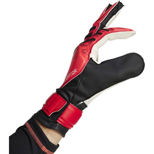 Thumbnail - ADIDAS Herren Handschuhe Predator Training