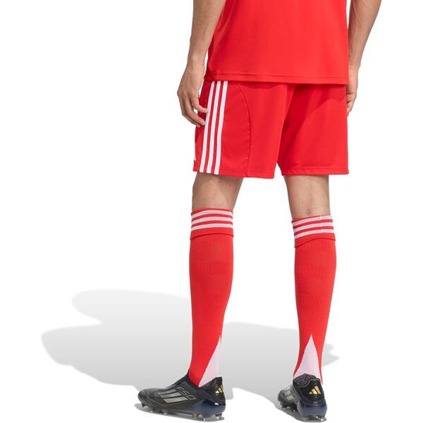 Thumbnail - ADIDAS Herren Teamhose FC Bayern München 25/26 Heim
