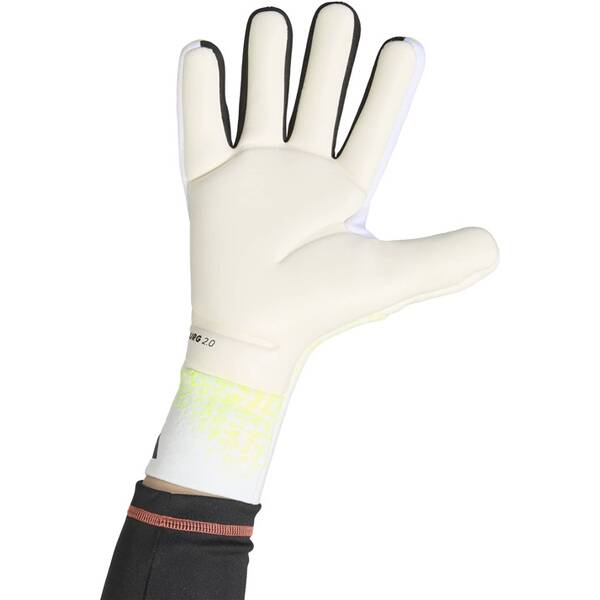 Thumbnail - ADIDAS Herren Handschuhe Predator Pro