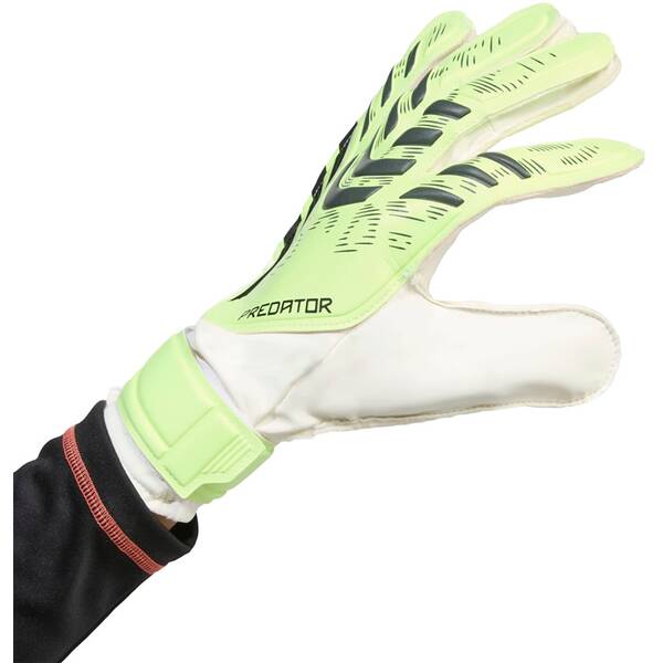 Thumbnail - ADIDAS Herren Handschuhe Predator Training