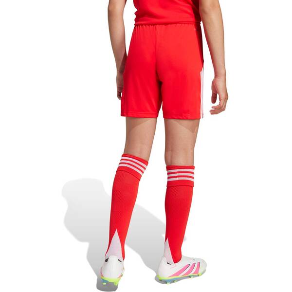 Thumbnail - ADIDAS Kinder Teamhose FC Bayern München 25/26 Heim