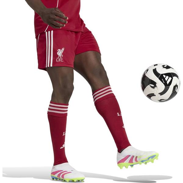 Thumbnail - ADIDAS Herren Teamhose FC Liverpool FC 25/26 Heim