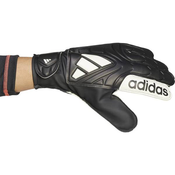 Thumbnail - ADIDAS Herren Handschuhe Copa Club
