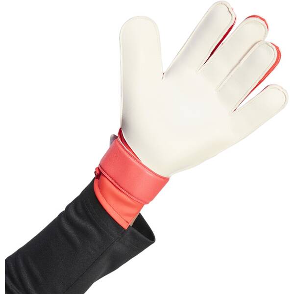 Thumbnail - ADIDAS Herren Handschuhe PREDATOR TORWARTHANDSCHUH TRAINING