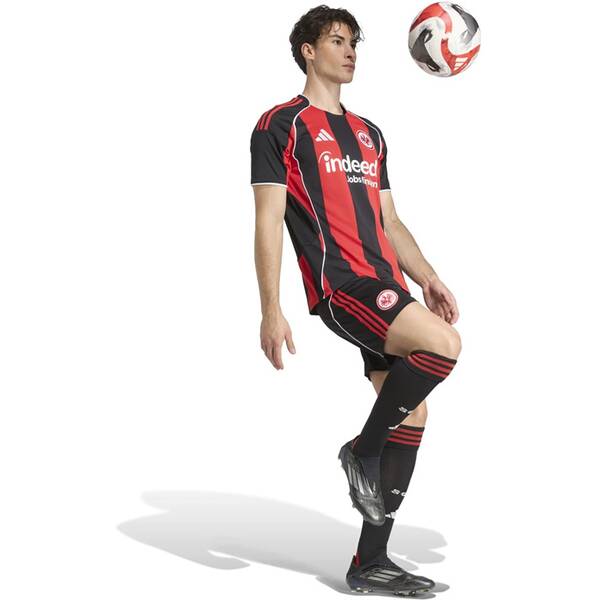 Thumbnail - ADIDAS Herren Teamhose Eintracht Frankfurt 25/26 Heim