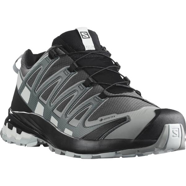 Thumbnail - SALOMON Herren Trailrunningschuhe SHOES XA PRO 3D v8 GTX Magnet/StoWea/Wht