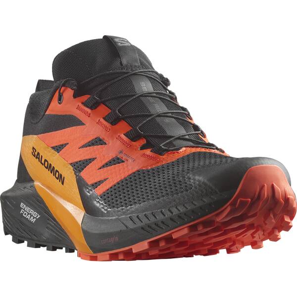 Thumbnail - SALOMON Herren Trailrunningschuhe SHOES SENSE RIDE 5 GTX Black/Scarlet Ibi