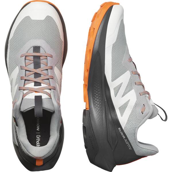 Thumbnail - SALOMON Herren Multifunktionsschuhe SHOES ELIXIR ACTIV GTX Shskin/Phantm/Drf