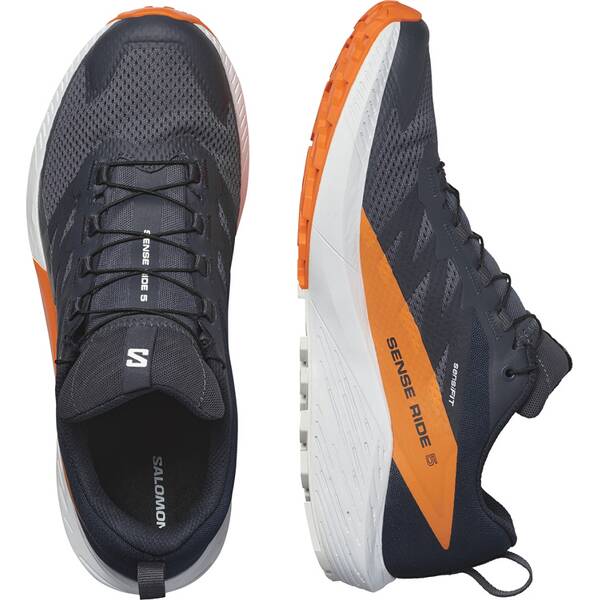 Thumbnail - SALOMON Herren Trailrunningschuhe SHOES SENSE RIDE 5 GTX Indink/Carbon/Drf