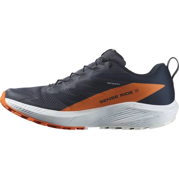Thumbnail - SALOMON Herren Trailrunningschuhe SHOES SENSE RIDE 5 GTX Indink/Carbon/Drf