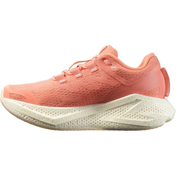 Thumbnail - SALOMON Damen Laufschuhe SHOES AERO GLIDE 3 W Fuco/Vanila/Tender