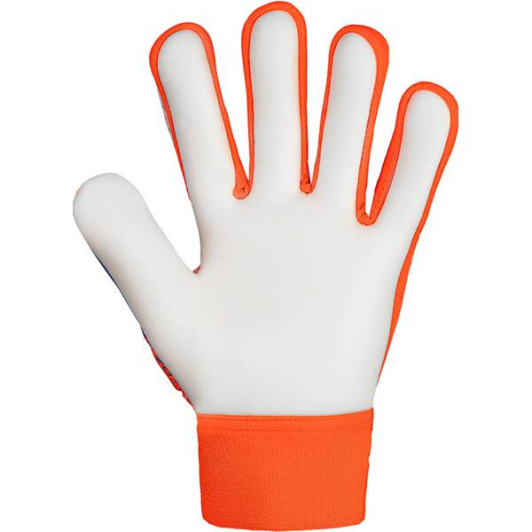 Thumbnail - REUSCH Kinder Torwarthandschuhe Attrakt Starter Solid Finger Support Junior
