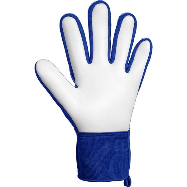 Thumbnail - REUSCH Herren Handschuhe Attrakt Starter Solid