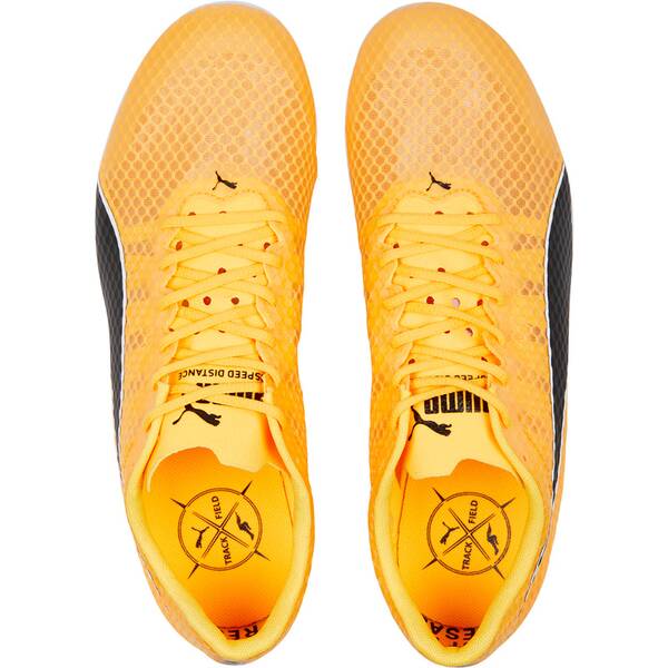 Thumbnail - PUMA Herren Leichtathletikschuhe evoSPEED Distance 11