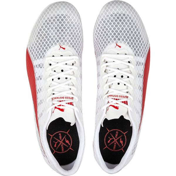 Thumbnail - PUMA Herren Leichtathletikschuhe evoSPEED Distance 11