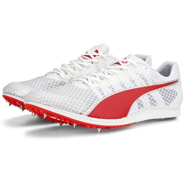 Thumbnail - PUMA Herren Leichtathletikschuhe evoSPEED Distance 11