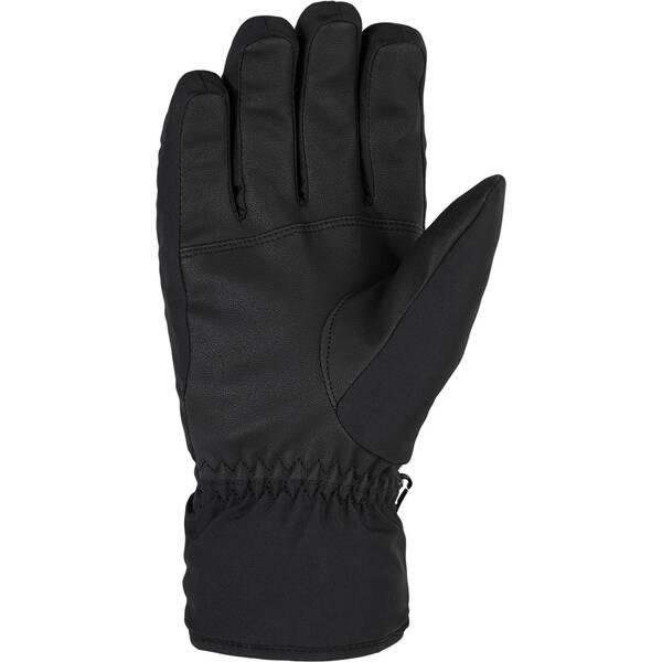 Thumbnail - ZIENER Herren Handschuhe GARWEN GTX glove ski alpine