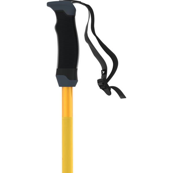 Thumbnail - ATOMIC Herren Alpin-Skistock AMT SQS Saffron