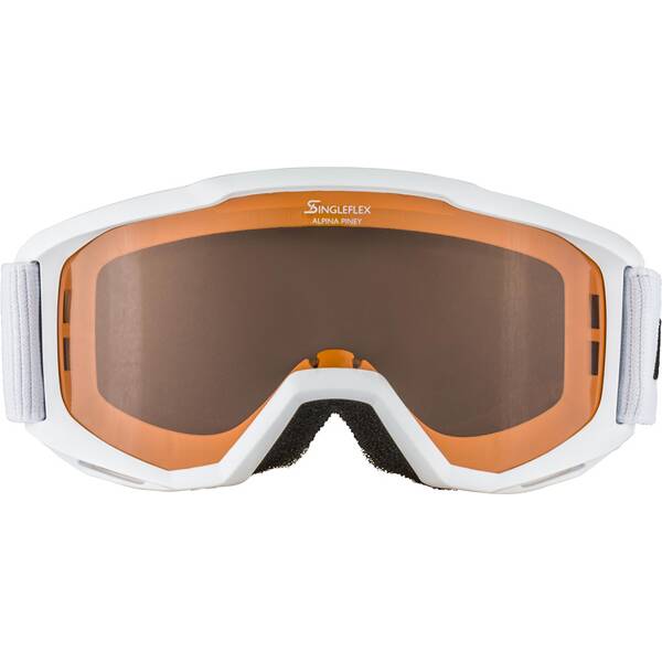 Thumbnail - ALPINA Skibrille