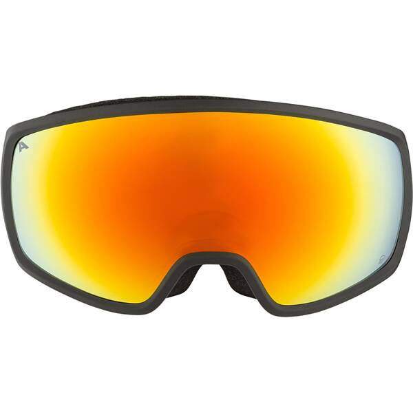 Thumbnail - ALPINA Herren Brille DOUBLE JACK QLite