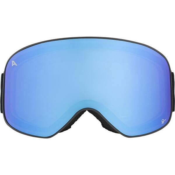 Thumbnail - ALPINA Herren Brille SLOPE Q-LITE