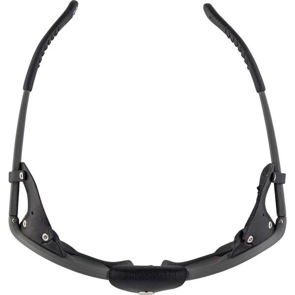 Thumbnail - ALPINA Brille SIBIRIA