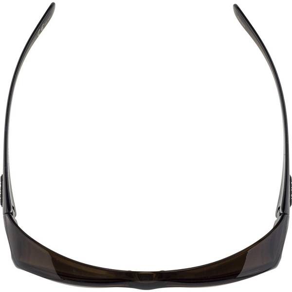 Thumbnail - ALPINA Brille OVERVIEW