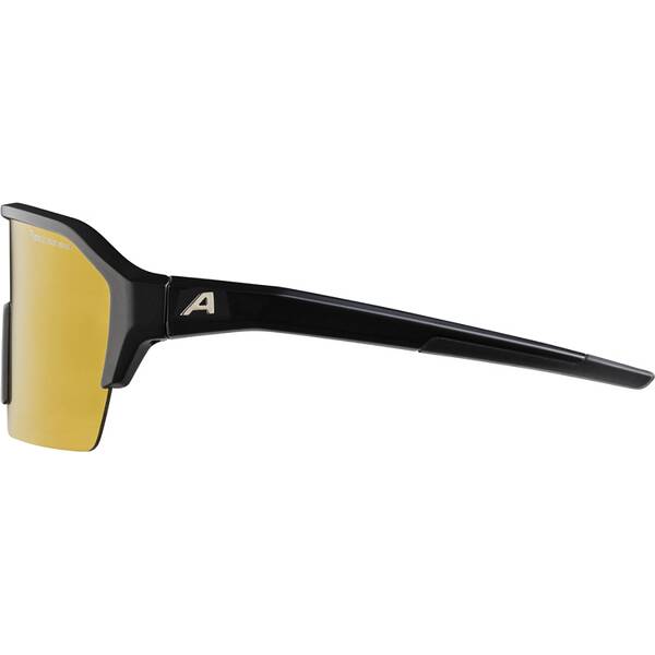 Thumbnail - ALPINA Herren Brille RAM HR Q-LITE V