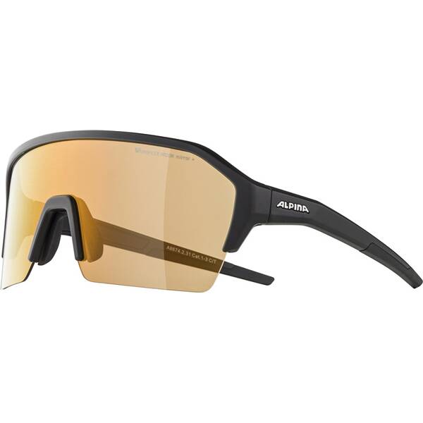 Thumbnail - ALPINA Herren Brille RAM HR Q-LITE V