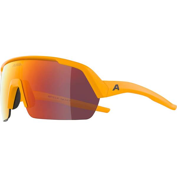 Thumbnail - ALPINA Herren Brille TURBO HR