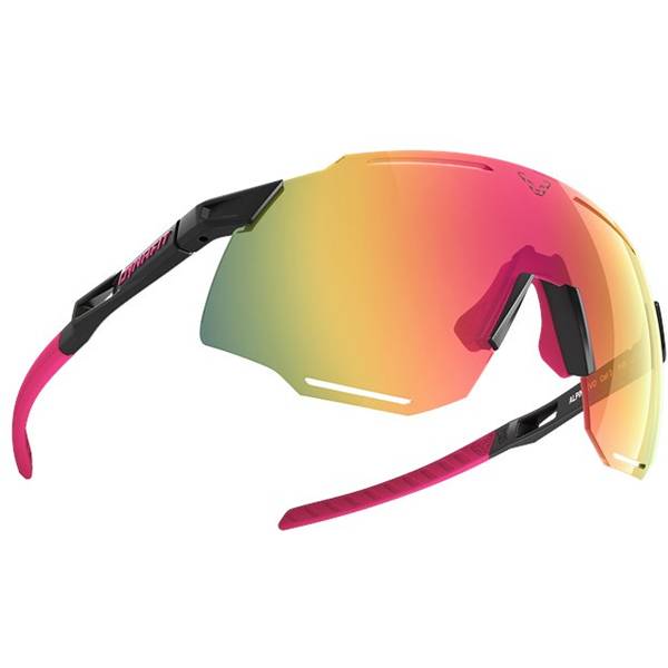 Thumbnail - DYNAFIT Herren Brille Alpine Evo Sunglasses