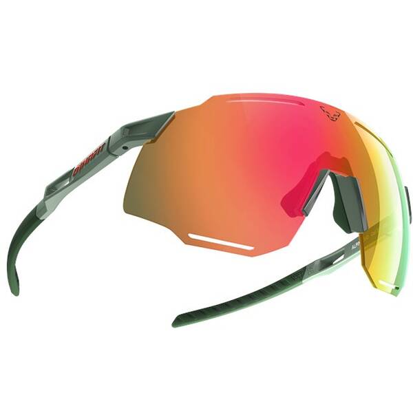 Thumbnail - DYNAFIT Herren Brille Alpine Evo Sunglasses