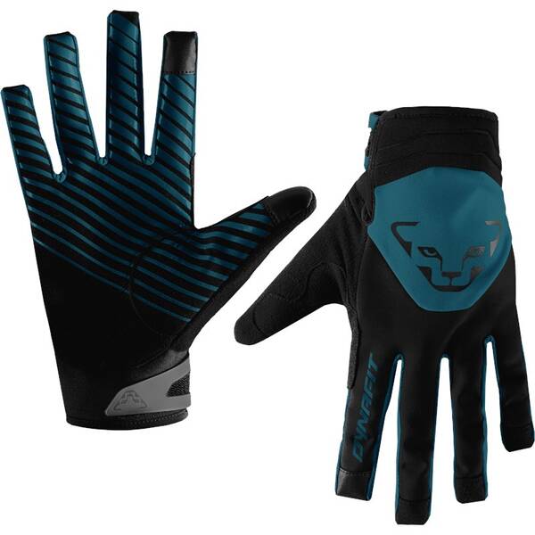 Thumbnail - DYNAFIT Herren Handschuhe RADICAL 2 SOFTSHELL