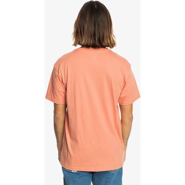 Thumbnail - QUIKSILVER Herren Shirt FLOATINGAROUNSS TEES